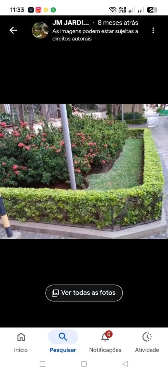 Jardinagem JM - Foto 4