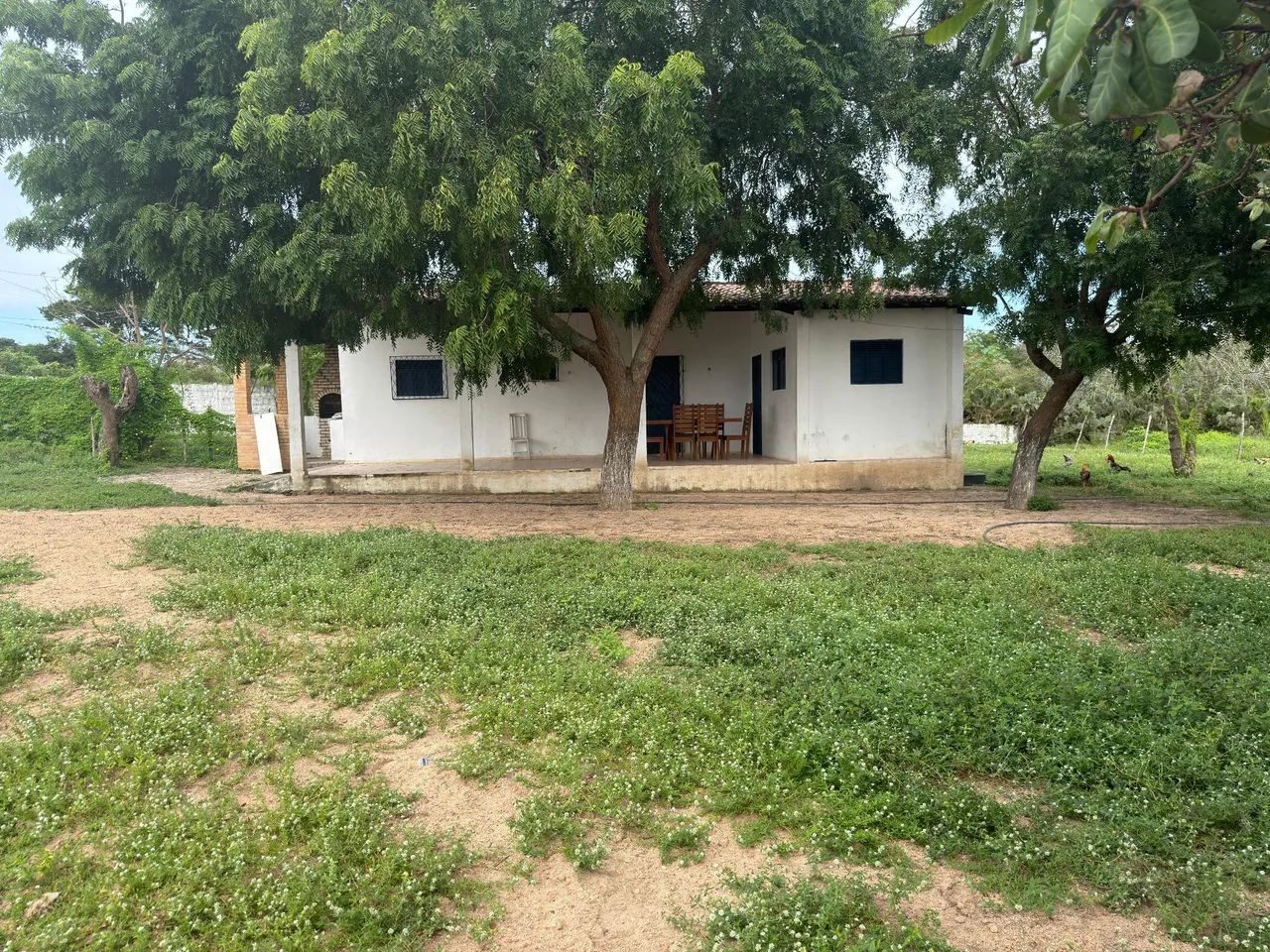 Oportunidade;Granja em Macaíba bem arejada e tranquila e ventilada  - Foto 4