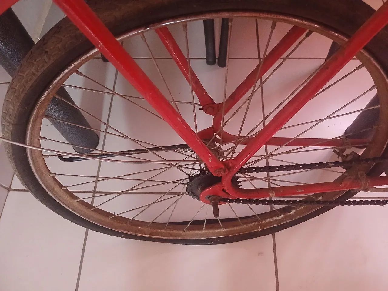 Vende-se monark - Foto 3