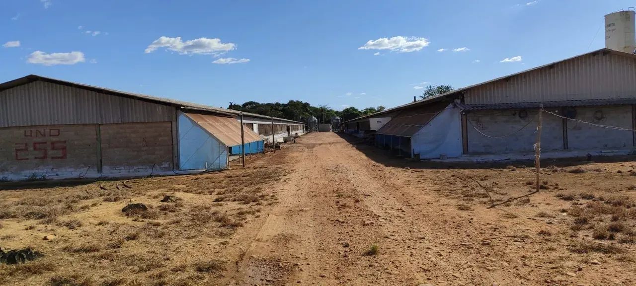 Granja a venda Itaberai - Foto 4
