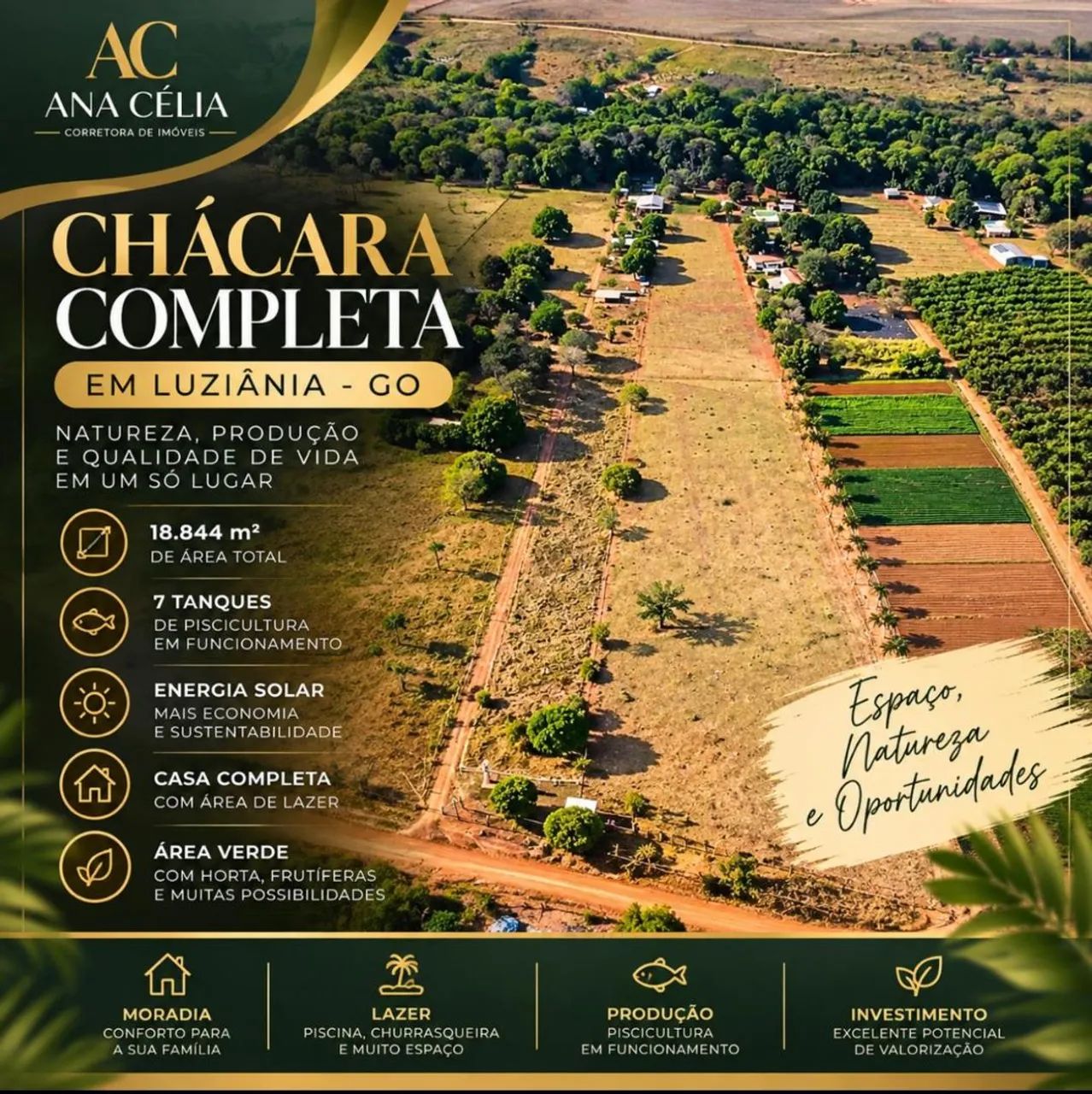 VENDA DE CHÁCARA  LUZIÂNIA   - Foto 2