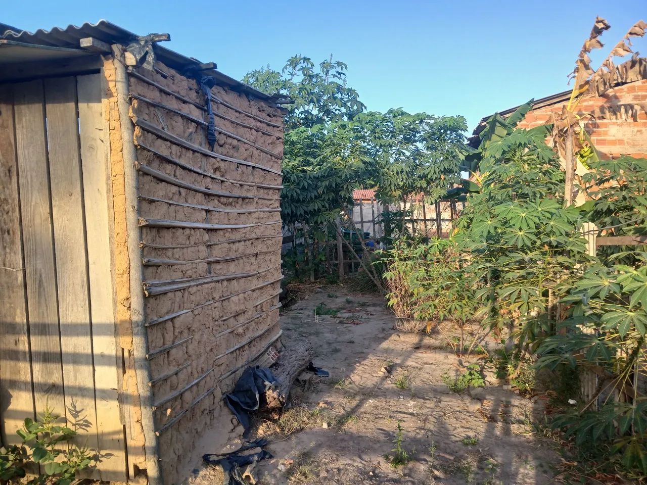 Terreno 