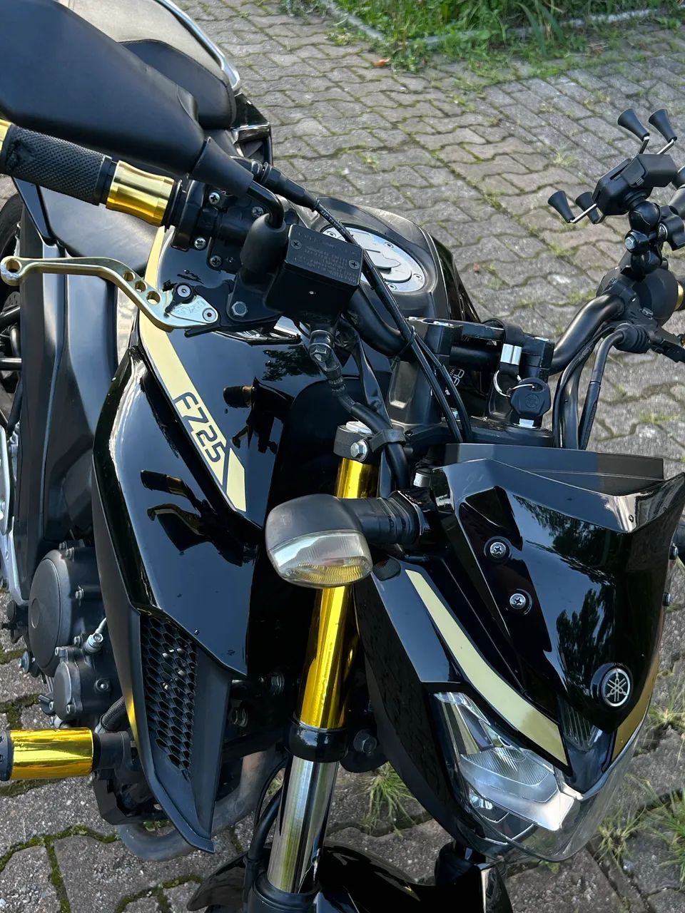 Yamaha Fazer 250 2019 - Personalizada e Impecável 