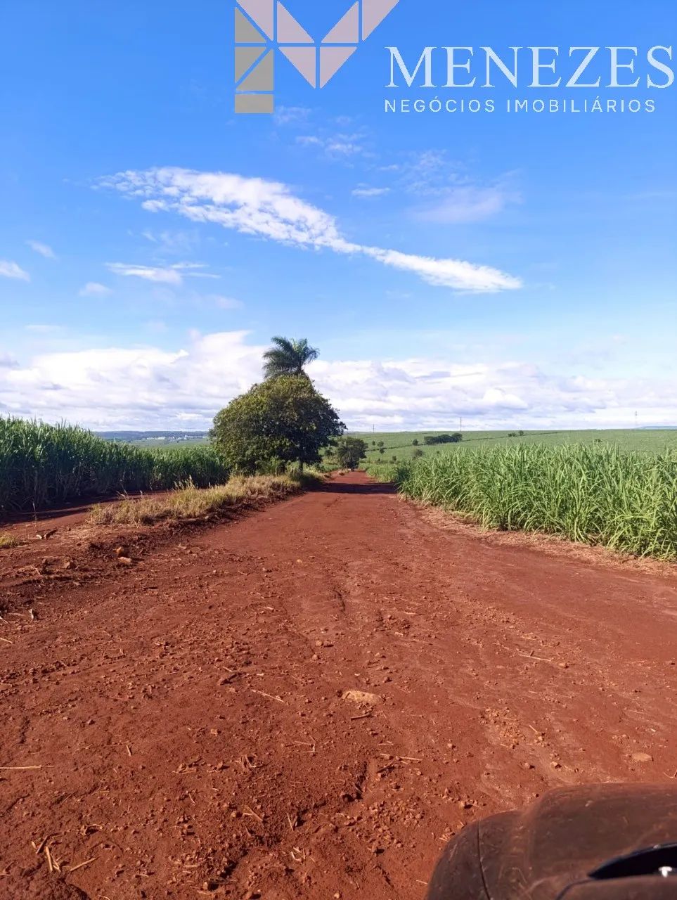 Fazenda à venda em Cajuru/SP - Foto 2