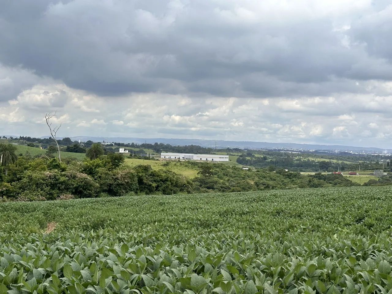 Área em Porto Feliz, - R$ 15.3 mi, Cod: TE-495 - Foto 5