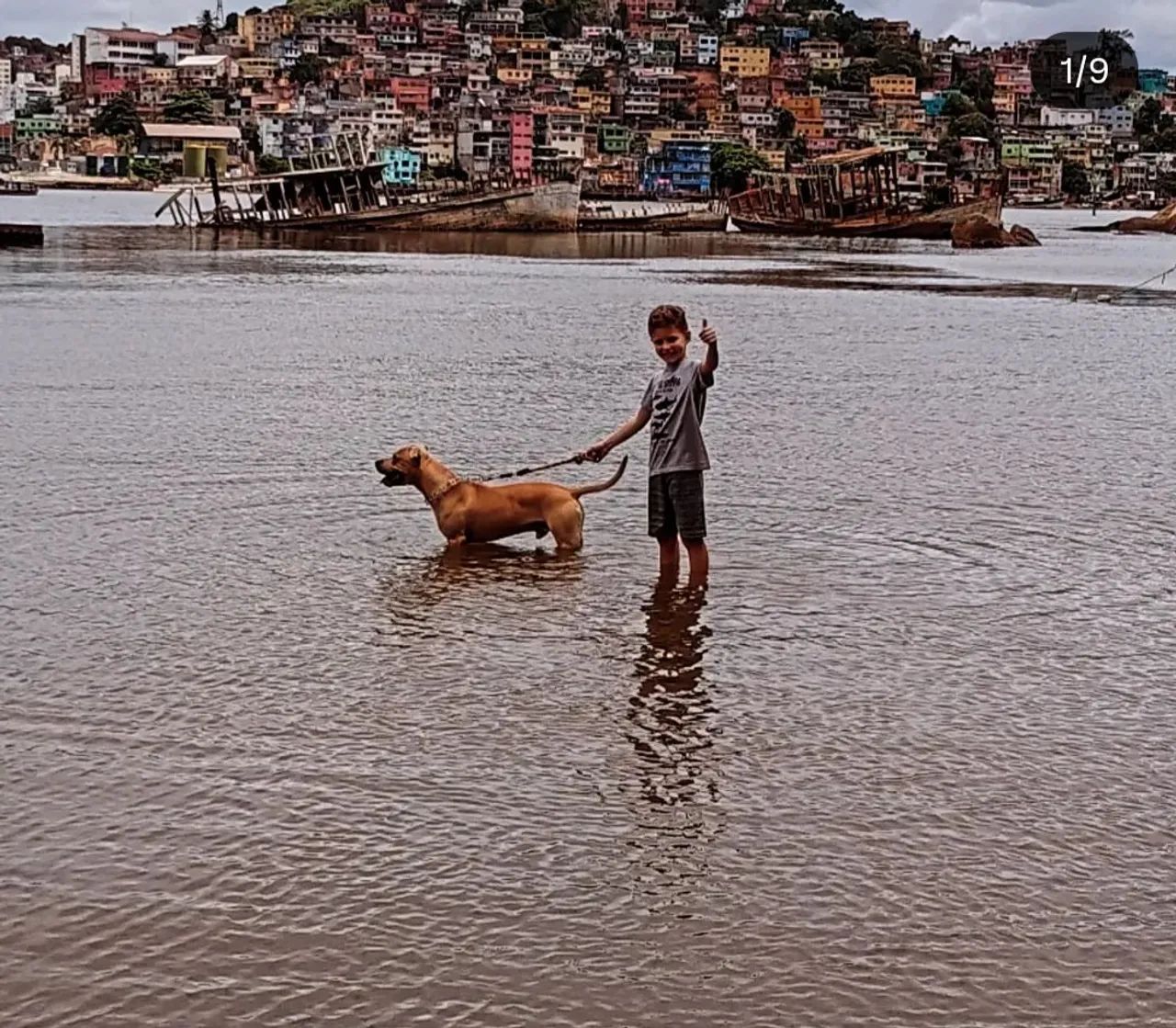 Doação  - Foto 2