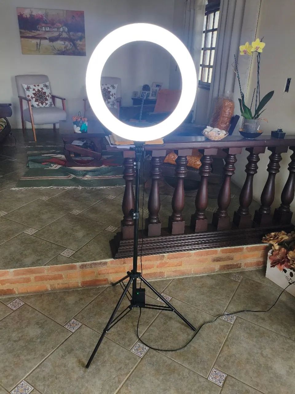 Ring Light Profissional Tomate MLG-089 18 Polegadas (48cm) + Tripé + Bolsa - Foto 2