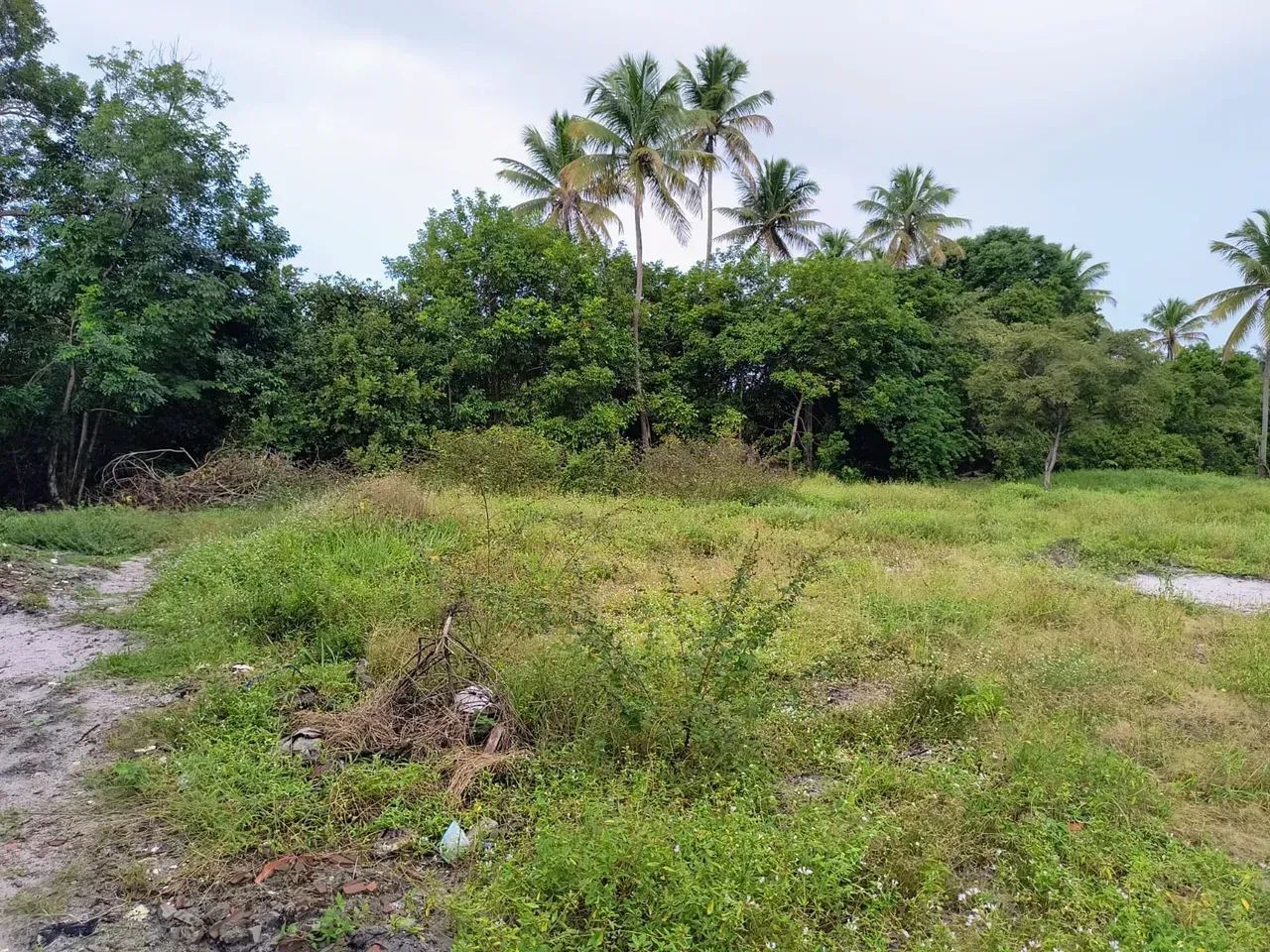 Lote para repasse - Porto coqueiral - Oportunidade!! - Foto 2