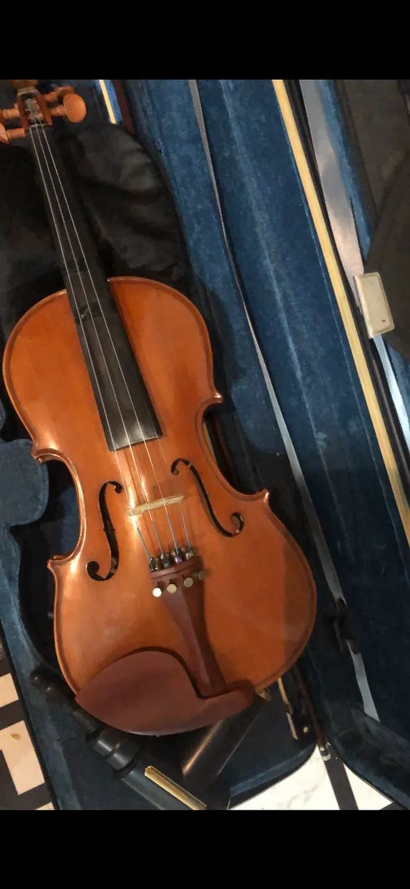 Violino eagle VE 441 