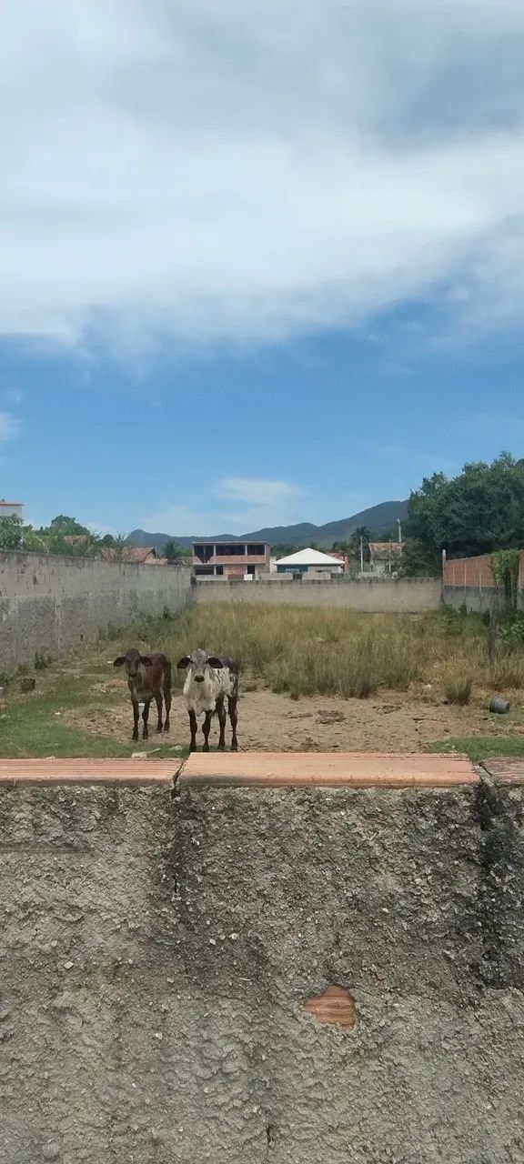 Foto - Maricá - Jardim Atlântico Central (Itaipuaçu)