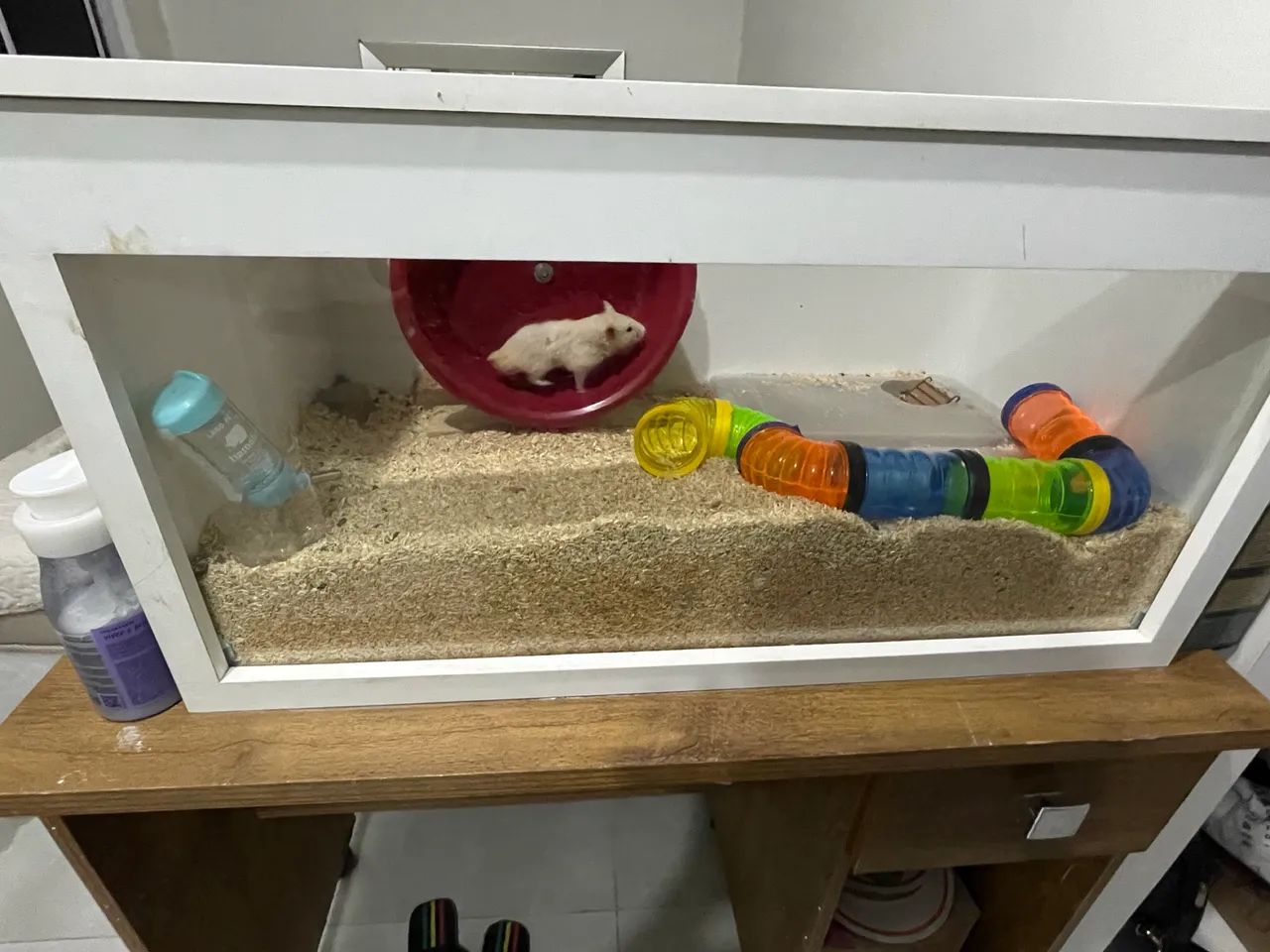 terrário hamster/roedores  - Foto 2