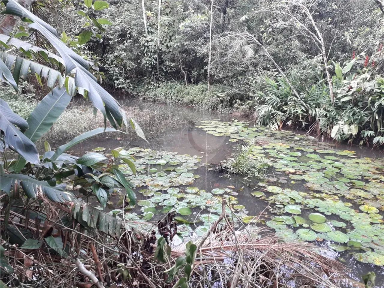 Terreno à venda em Verde mar - SP - Foto 2