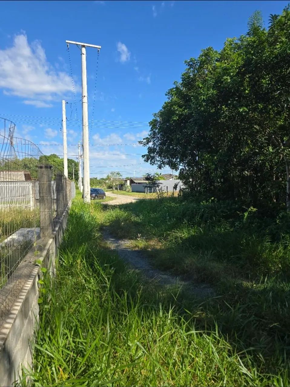Terreno em São Francisco do Sul  - Foto 3