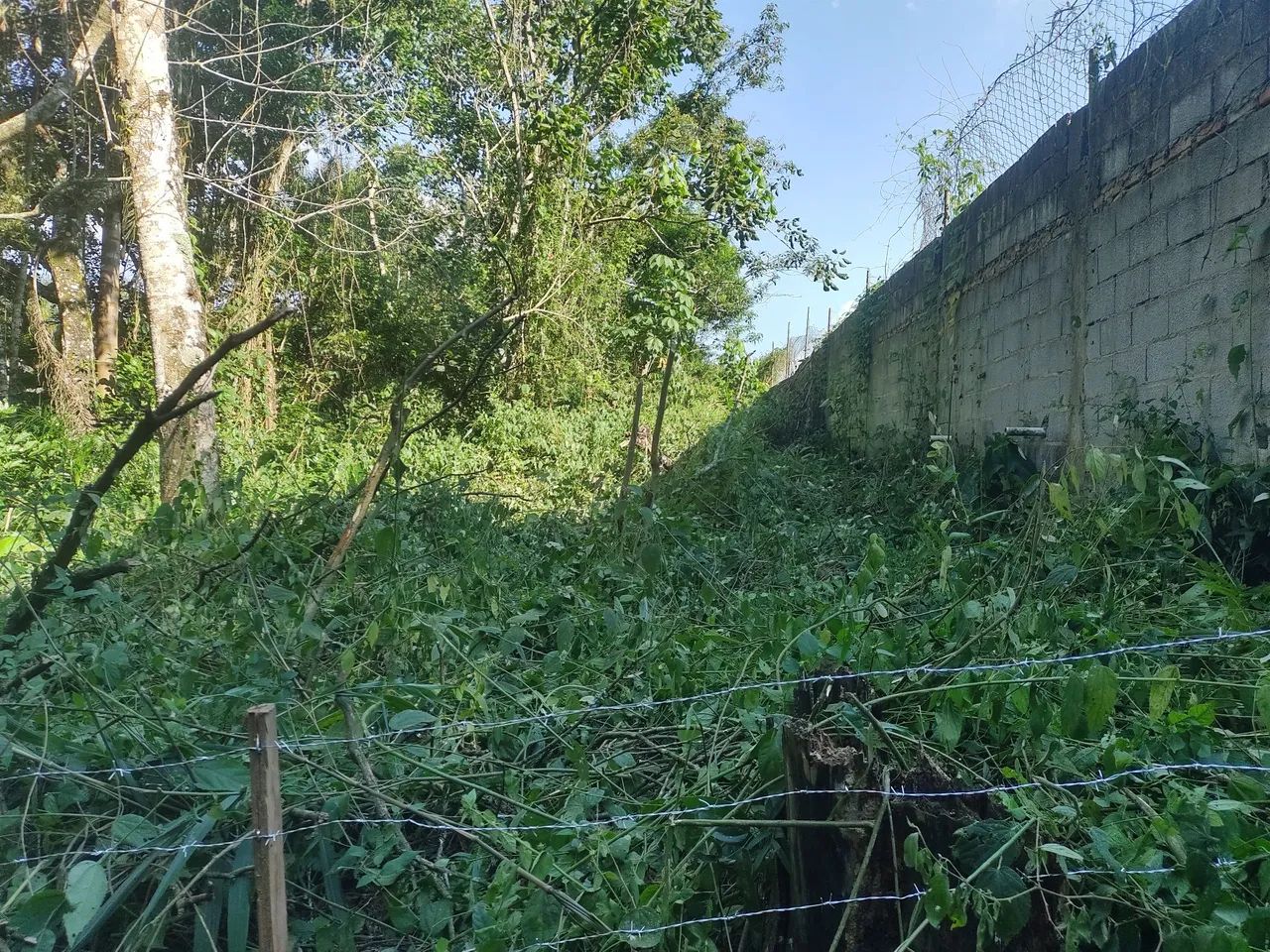 Terreno - Foto 5