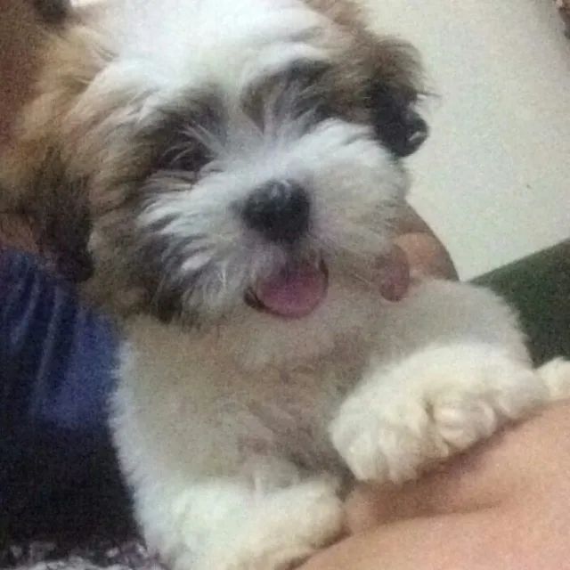 ?Estilo natural, sem esforço.?