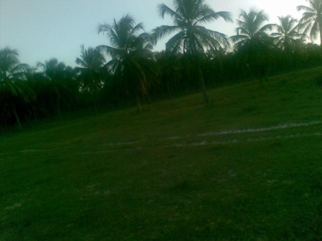 Fazenda 500ha - Foto 5