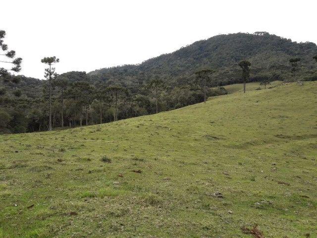 Sitios em Urubici - Foto 12