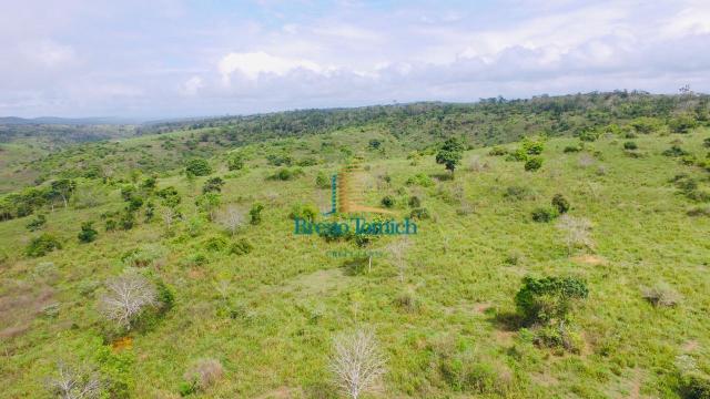 Fazenda à venda, 10115600 m² por r$ 8.000.000,00 - zona rural - nanuque/mg - Foto 7