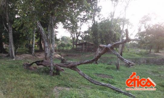 Sítio à venda em Aguas lindas, Ananindeua cod:7684 - Foto 5