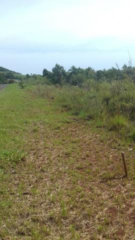 Excelente área de 17 alqueires perto de Santa Maria do Oeste - Foto 7