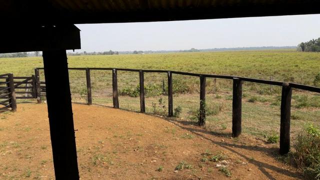 Vendo Linda Fazenda de frente a estrada - a 30 km de porto velho/Ro - Foto 19