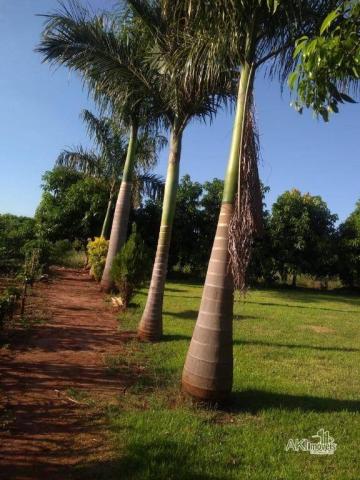 8046 | Chácara à venda em Munhoz De Melo, Munhoz De Melo - Foto 9
