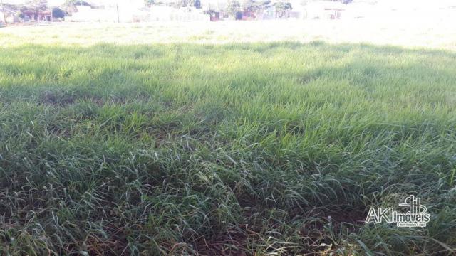 8046 | Terreno à venda em Centro, Nova Esperança - Foto 5