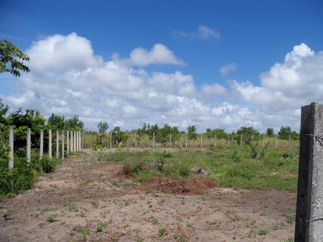 Terrenos - Foto 2
