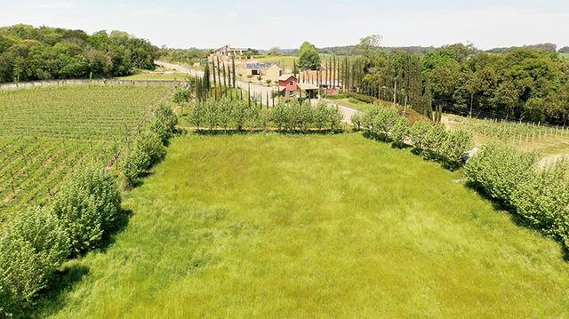Terreno Vale dos Vinhedos - RS - Foto 2