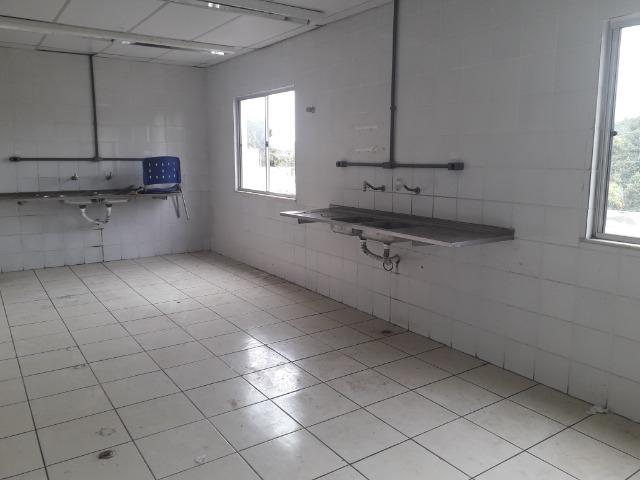 Galpão com 10.000,00m2 em Simões Filho - Foto 7