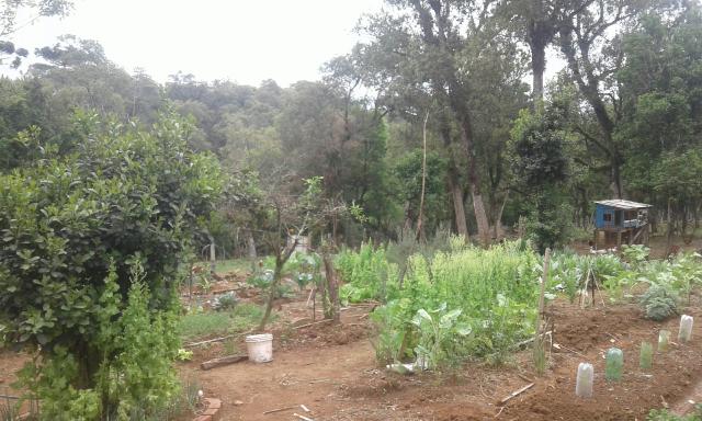 Vendo ou troco Chacara na Lapa por casa de menor valor em Curitiba ou Colombo - Foto 4
