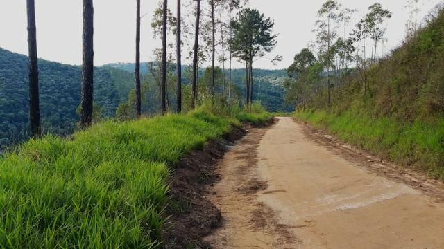 Terreno próximo de Araçariguama - Foto 4