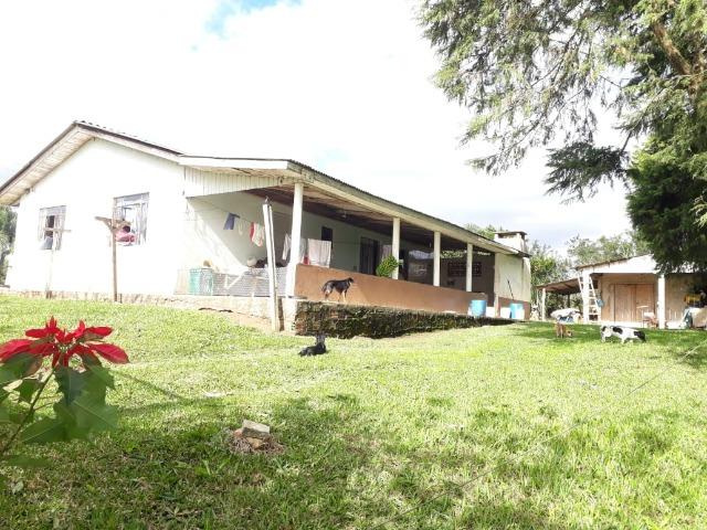 Linda Chácara A 15 Min. do Pinheirinho 14.000 m ² - Foto 2