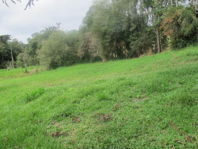 Chácara 32.000 m² - Foto 8