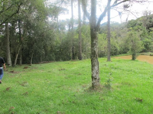 Chácara 32.000 m² - Foto 6