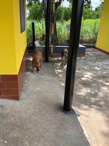 Chácara à venda em Palmeiras, Santo antônio do leverger cod:CH00004 - Foto 16
