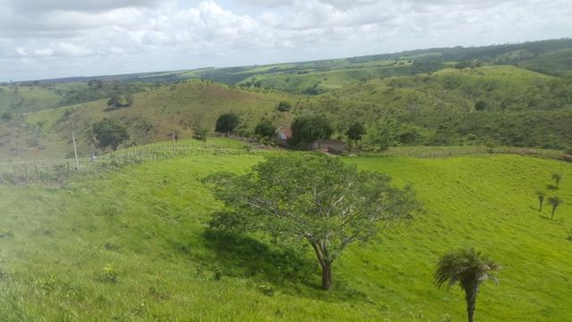 Fazenda ( Vendo ou Troco ) Propriedade Em Teotônio Vilela-AL - Foto 17