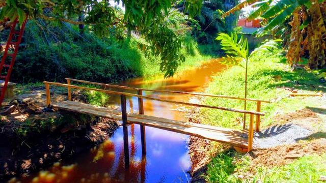Vendo sitio em jaua - Foto 6