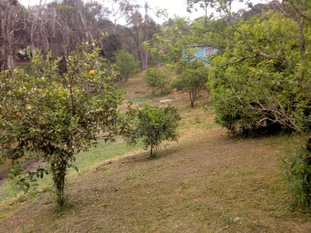 Vende-se chácara em Areia Branca - Mandirituba (cód. A355) - Foto 7