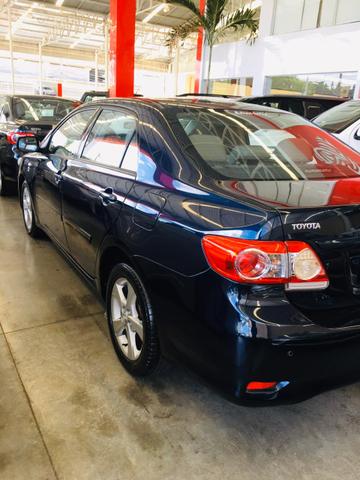Corolla xli