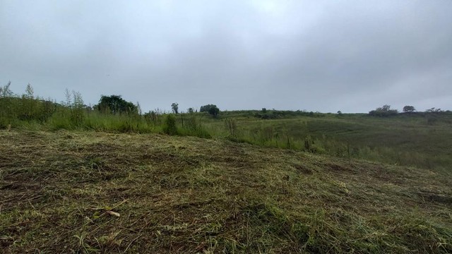 Lote/Terreno para venda com 1000 metros quadrados em Centro - Franco da Rocha - SP