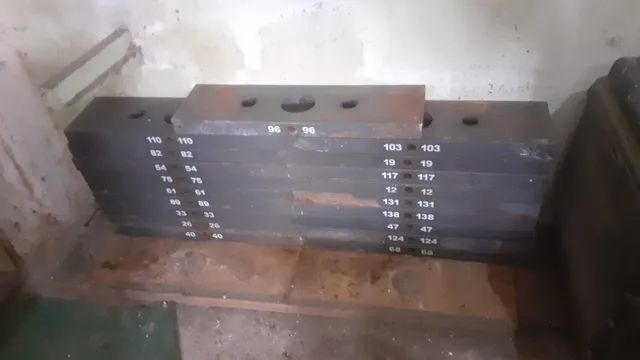 Bateria de Peso Life Fitness 138kg