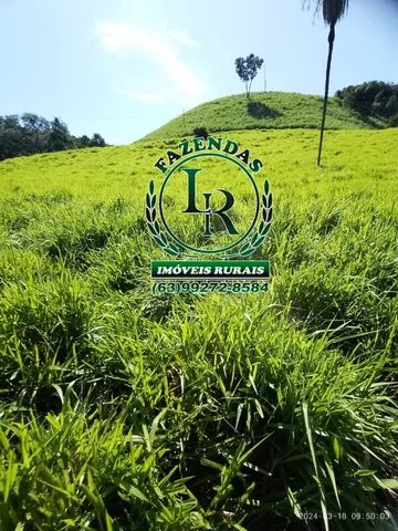 chácara 2,5 Alqueires - Foto 2