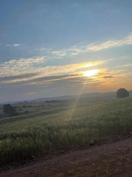 ÚLTIMAS CHÁCARAS DISPONÍVEIS ÀS MARGENS DO RIO TIBAGI PARCELADO - Foto 11
