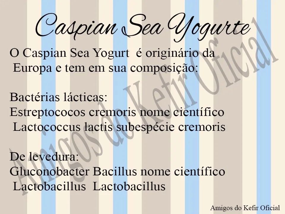 Doa-se Kefir de água, de leite, iogurtes infinitos e kombuchá - Foto 6