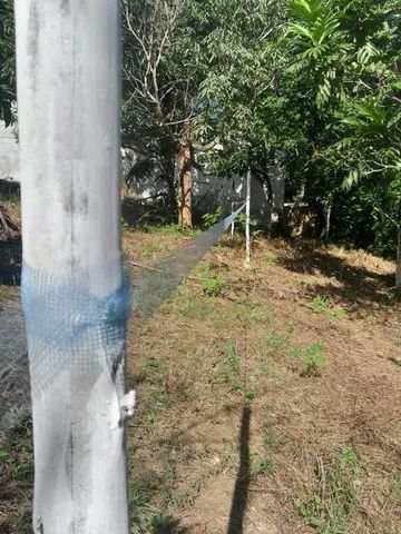 VENDO ÁREA PARA SÍTIO OU VILLAGE 57X55=3.135m² MURADA NA FRENTE - Foto 4