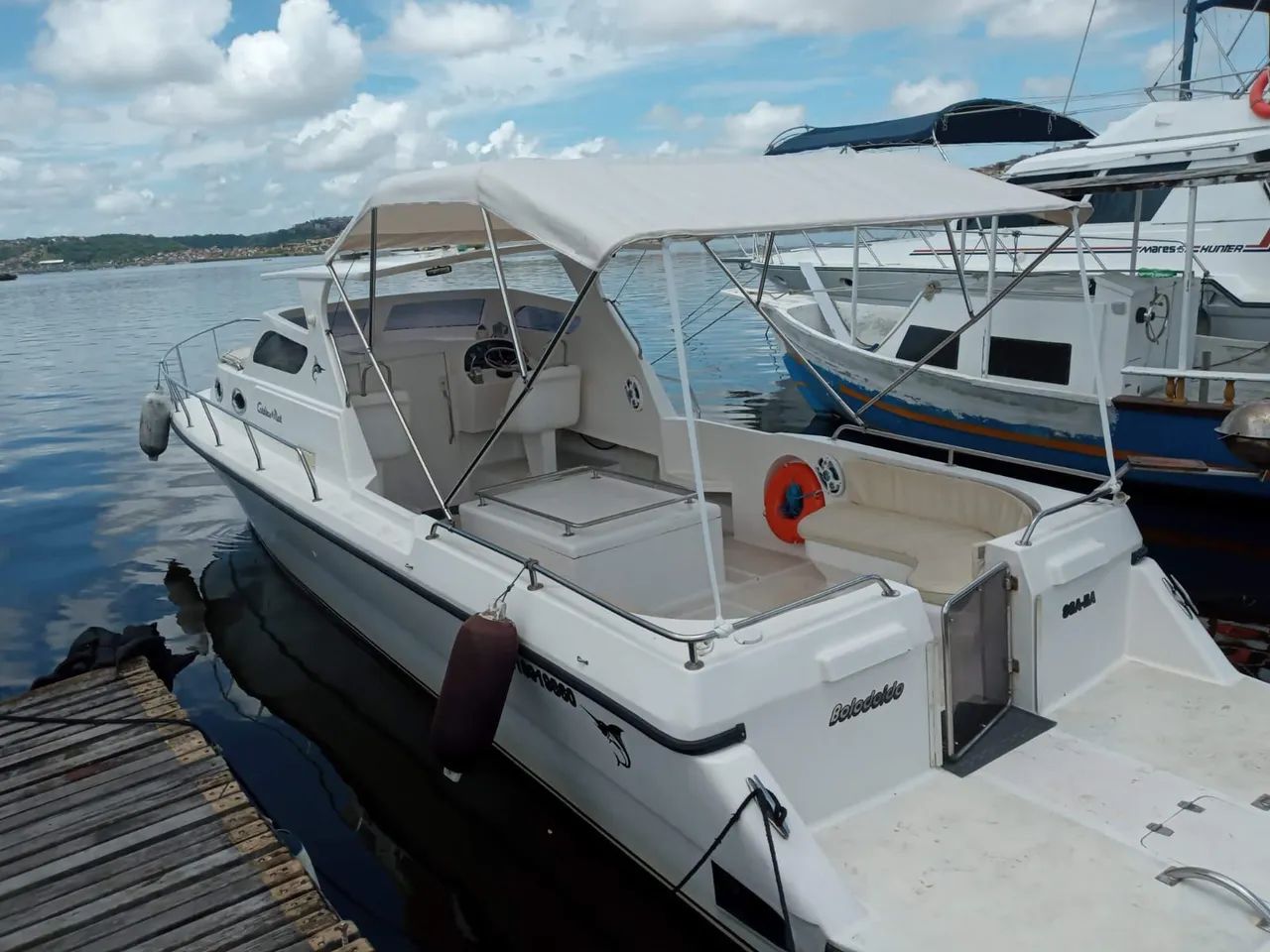 Passeios de barco - Foto 4