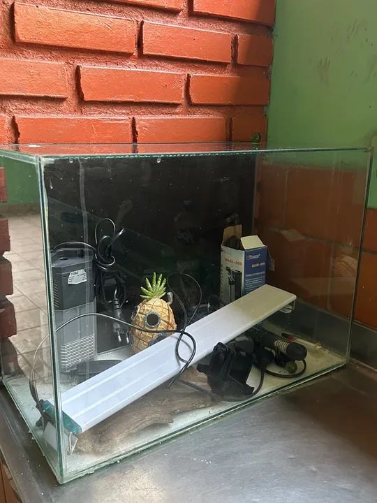 Aquário Completo 40L