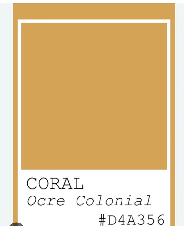 Tinta Coral Renova Fosco Ocre Colonial 16L - Foto 4