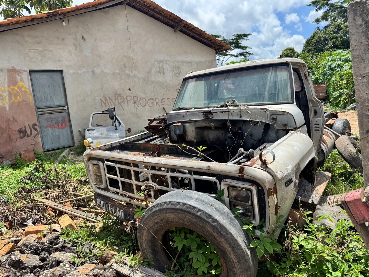 Caminhão Ford F-11000